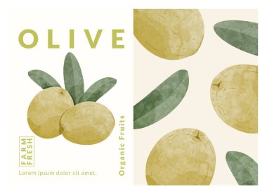 Olive packaging design templates, watercolour style vector illustration.