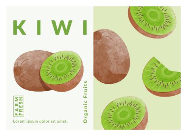 Kiwi packaging design templates, watercolour style vector illustration.