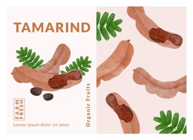 Tamarind packaging design templates, watercolour style vector illustration.