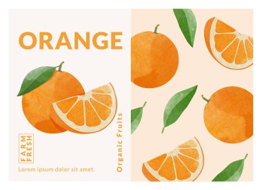 Orange packaging design templates, watercolour style vector illustration.