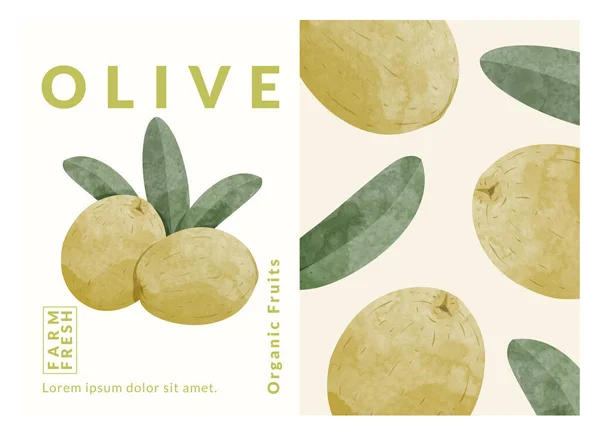 Olive Packaging Design Templates Watercolour Style Vector Illustration — Stockvektor