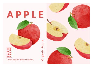 Apple ambalaj tasarım şablonları, suluboya biçim vektör çizimi.