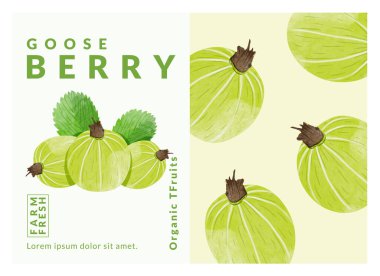 Gooseberry packaging design templates, watercolour style vector illustration. clipart
