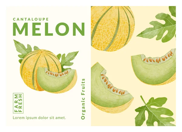 Cantalupo Melone Packaging Design Template Acquerello Stile Vettoriale Illustrazione — Vettoriale Stock
