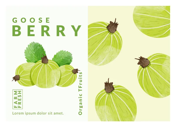 Gooseberry Packaging Design Templates Watercolour Style Vector Illustration — Stockvector