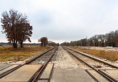 İzlanda 'da daireler ve havaalanına yakın. Burada çok yeşil arka bahçeler görüyoruz..