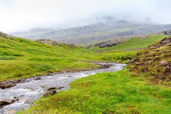 Cold Spring Water Stream Mountains — Fotografia de Stock