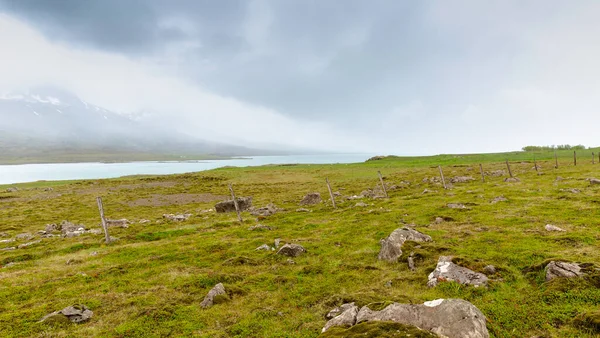 アイスランドの山の頂上を行く小川 — ストック写真