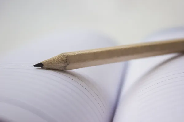 üzerine bir kitap kalem