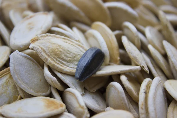 Pumpkin seeds — Stock Photo, Image