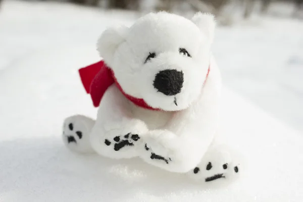 Ursos de brinquedo — Fotografia de Stock