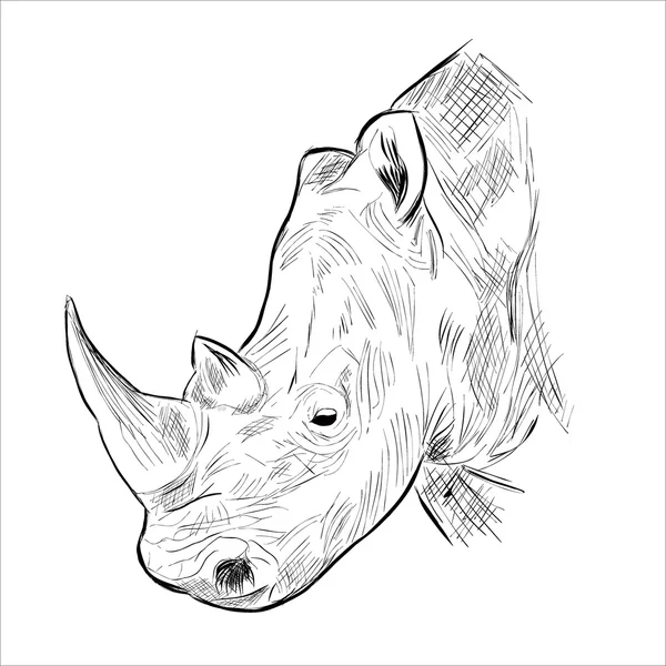 Tête de rhino — Image vectorielle