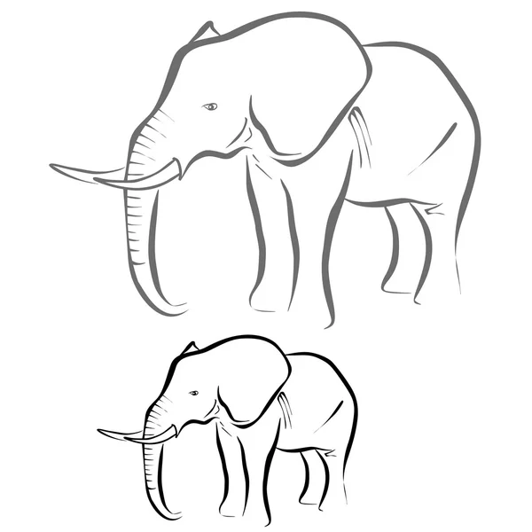 Éléphant — Image vectorielle