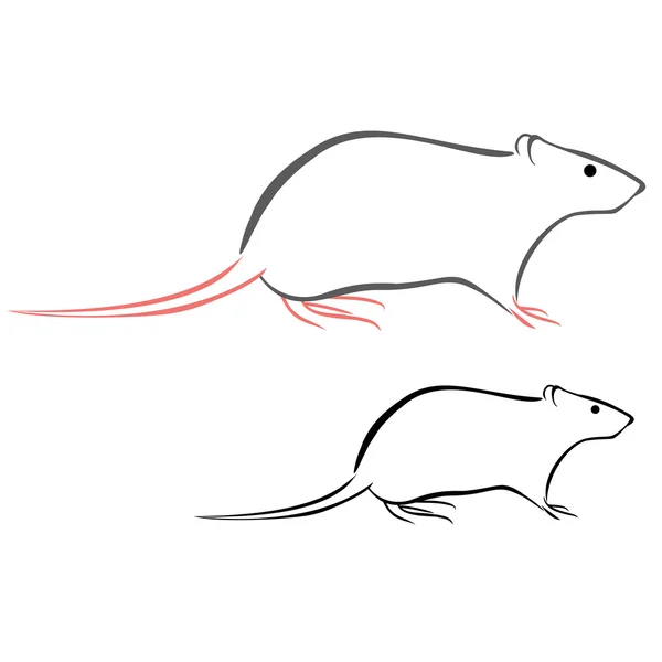 Croquis de rat — Image vectorielle