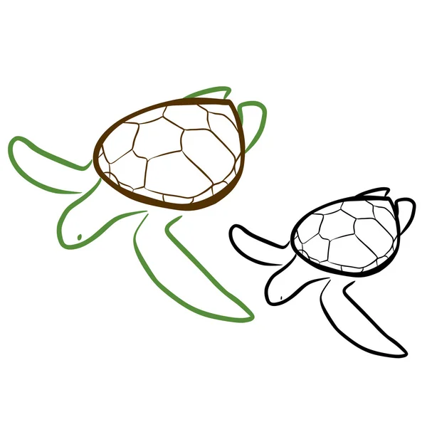 Zeeschildpad — Stockvector