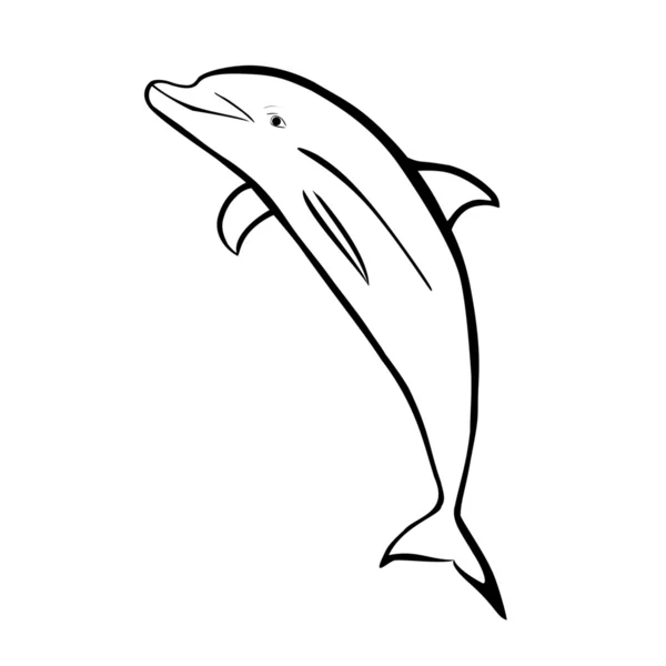 Dolphin — Stock Vector