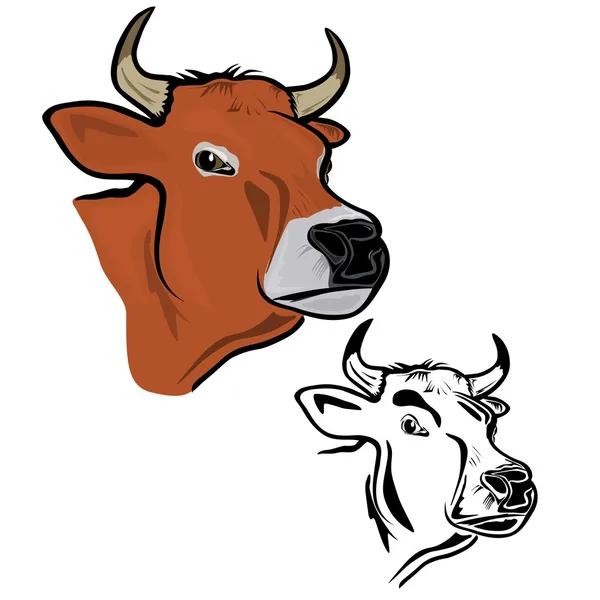 Коровою голова — стоковий вектор