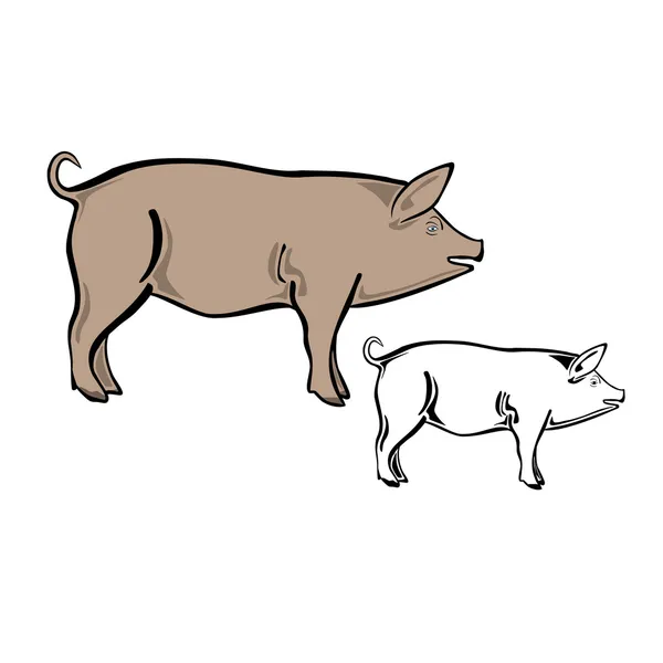 Ilustração do porco — Vetor de Stock