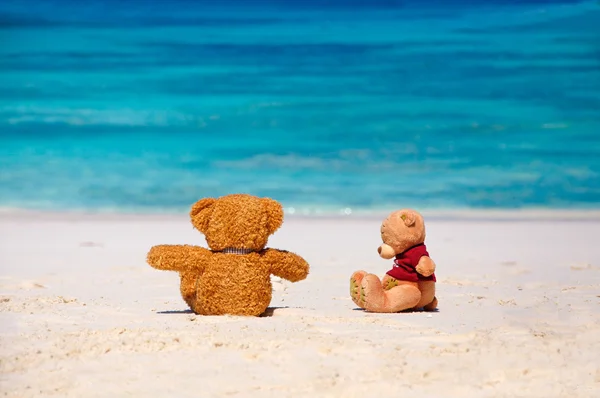 Teddy Bear essayant de se réconcilier avec son ami . — Photo