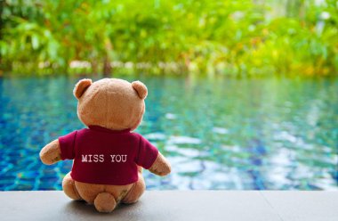 Back view of teddy bear wearing red T-Shirt with text 