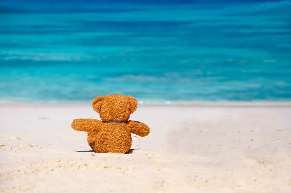 Einsamkeit Teddybär sitzt am Strand. — Stockfoto