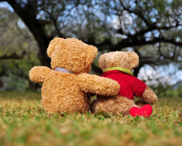 Deux nounours assis dans le jardin avec amour. Concept sur l'amour . — Photo