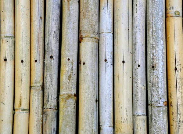 Bamboe textuur achtergrond — Stockfoto