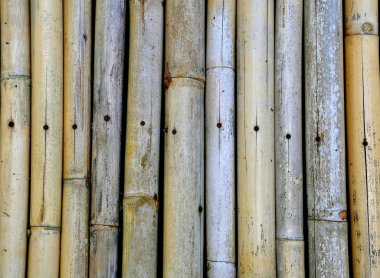 Bambu dokusu arkaplanı