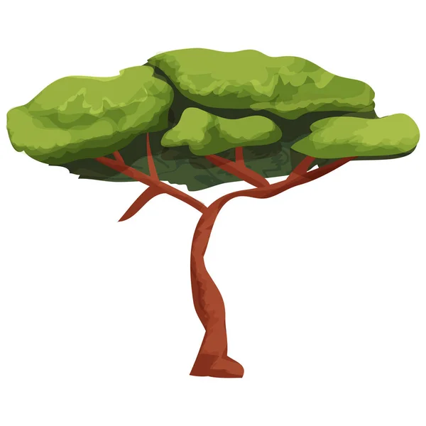 Árbol Africano Acacia Planta Sabana Estilo Dibujos Animados Aislados Sobre — Vector de stock