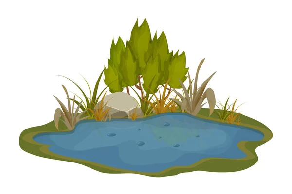Jezero, bažina s kameny, bulrush lily listy v kresleném stylu izolované na bílém pozadí. Lesní fantasy scéna, divoká příroda. — Stockový vektor