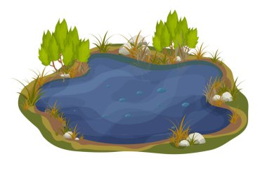 Göl, taşlı bataklık, beyaz arka planda karikatür tarzında kabadayı yaprakları. Orman fantezi sahnesi, vahşi doğa.