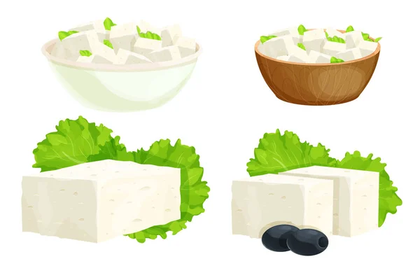 Feta Käsestücke in Schüssel im Cartoon-Stil detaillierte Zutat isoliert auf weißem Hintergrund. Griechischer Quark aus Schafsmilch oder Milchbohne. — Stockvektor