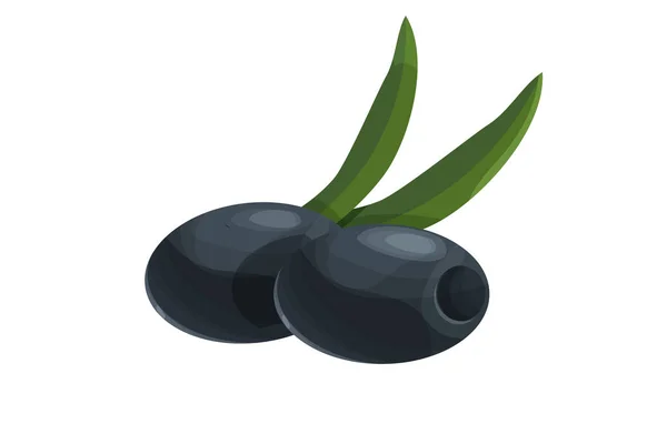 Black olive with leaves in cartoon style isolated on white background. Food ingredient. Traditional Greek or Italian plant. — ストックベクタ