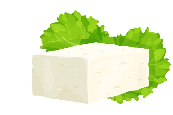 Pièce de fromage feta dans le style dessin animé ingrédient détaillé isolé sur fond blanc. Fromage blanc de caillé grec à base de lait de brebis ou de haricots. — Image vectorielle