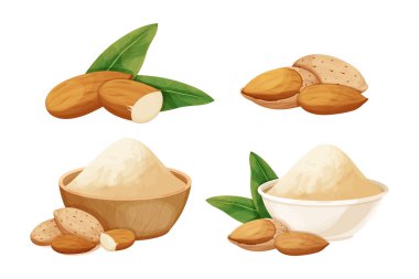 Set almond in nutshell with leaves detailed raw nut, almond powder in bowl organic product, ingredient in cartoon style isolated on white background. Ripe plant, snack.