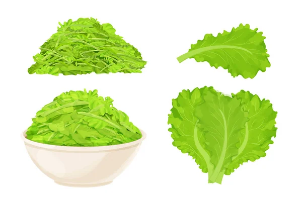 Set chopped lettuce leaves in bowl in cartoon style isolated on white background, Healthy raw ingredient, vegetarian dish. — Stock Vector