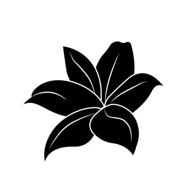 Lily silhouette, logo or tattoo, decorative flower isolated on white background. Floral illustration, nature. Vector
