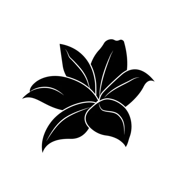 Lily Silhouette Logo Tattoo Decorative Flower Isolated White Background Floral — Vetor de Stock