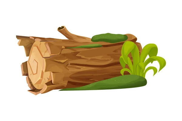 Madera Vieja Tronco Árbol Tronco Con Musgo Hierba Vacíos Estilo — Vector de stock