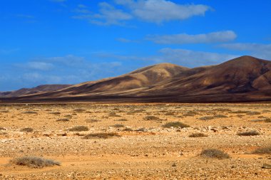 Fuerteventura, Kanarya Adaları