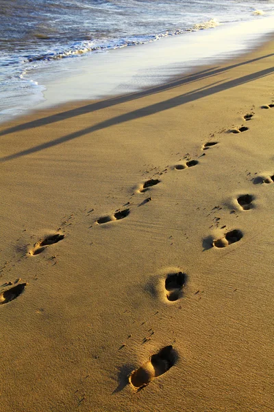 Footsteps — Stock Photo, Image