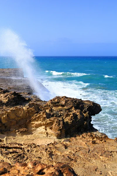 Fuerteventura — Stockfoto