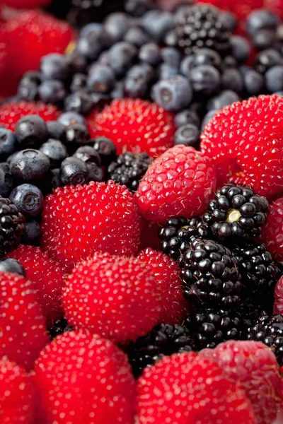 Mixed berries — Stock Photo, Image
