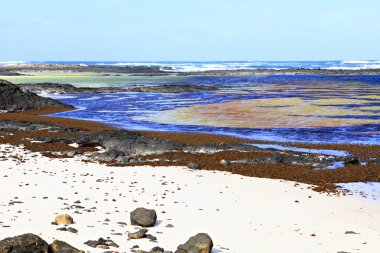 Fuerteventura