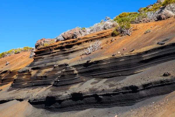 Teneriffa — Stockfoto