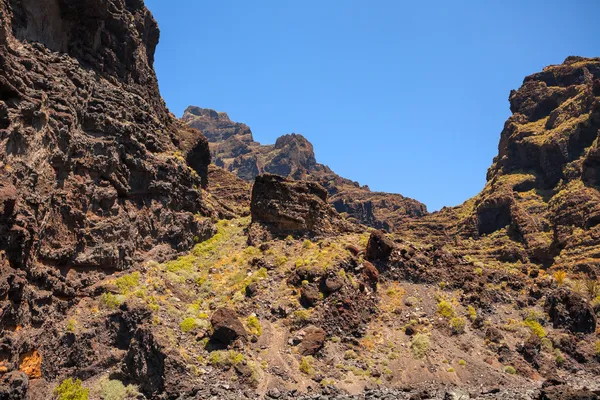 Tenerife — Stock Photo, Image