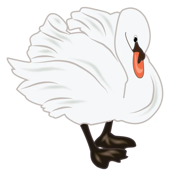 Cisne blanco — Vector de stock