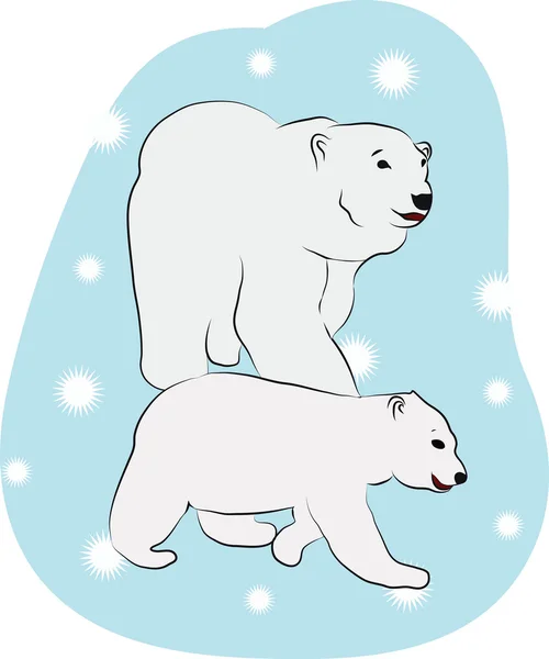Ursos polares — Vetor de Stock