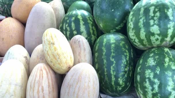 Melões e melancias no mercado dos agricultores — Vídeo de Stock