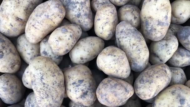 Potatoes at the farmers market — Stock Video